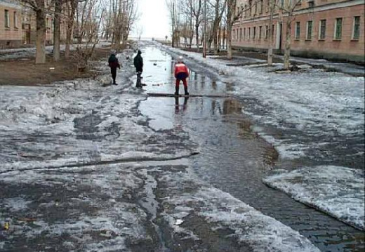 Природа - показать этот альбом Природа