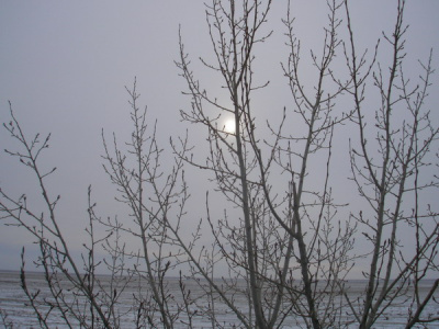 Солнце в тумане... 