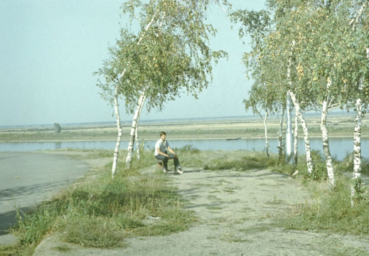 Березки