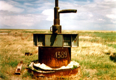 Оголовок скважины 1389