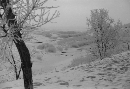 Март 1985 года