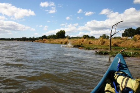 Пол крокодила