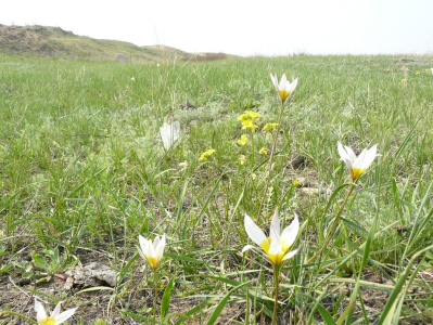 справа от горок -  Глухая пр