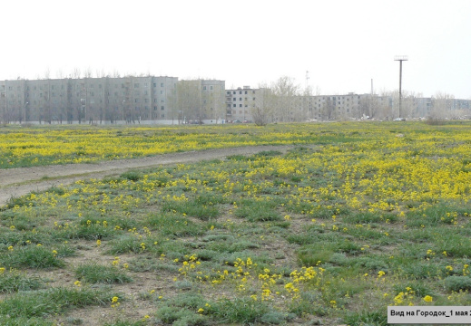 вид на городок-цветы 1 мая 2009 