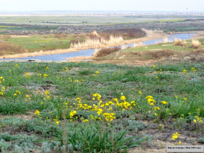 огороды-дымка