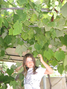 Юлечка Концевая