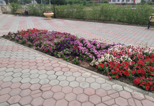 IMG 20190726 120233