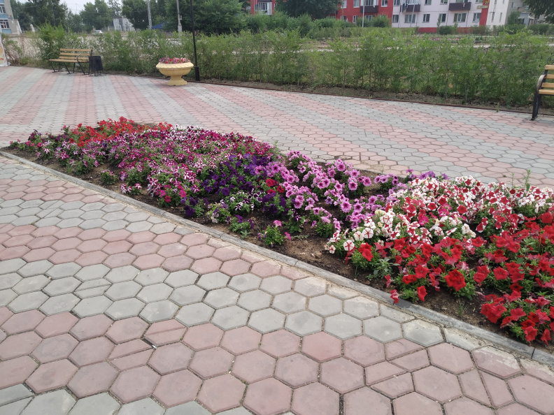 IMG_20190726_120233.jpg