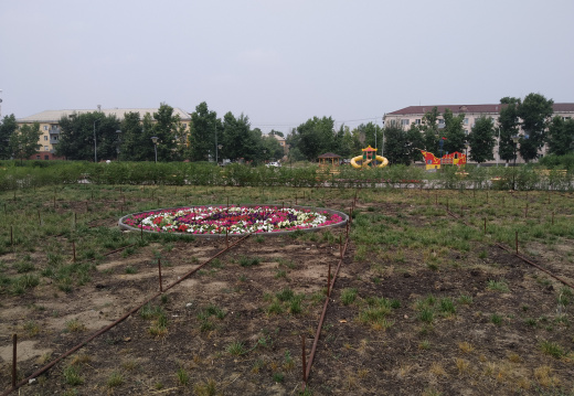 IMG 20190726 120420