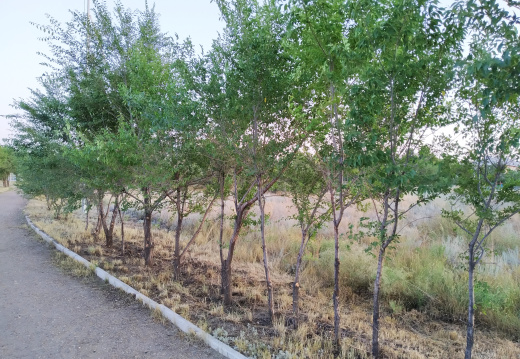 IMG 20190728 203002