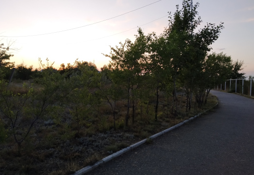 IMG 20190728 203330