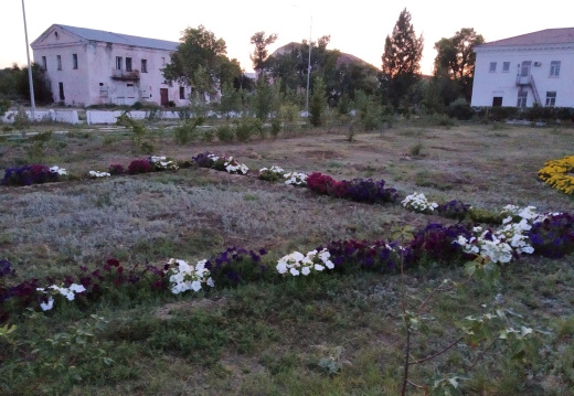 IMG 20190728 210252