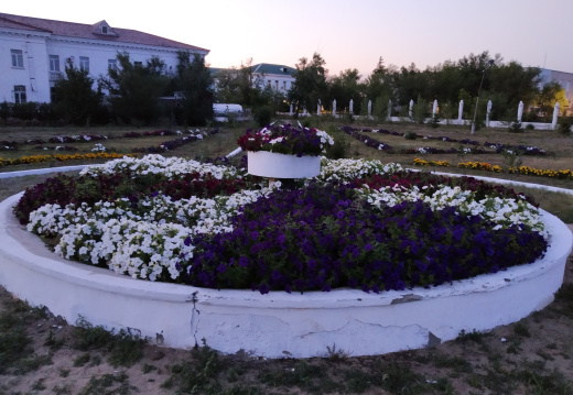 IMG 20190728 210312