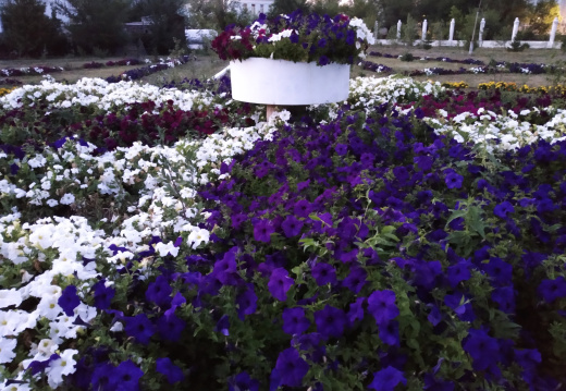 IMG 20190728 210324